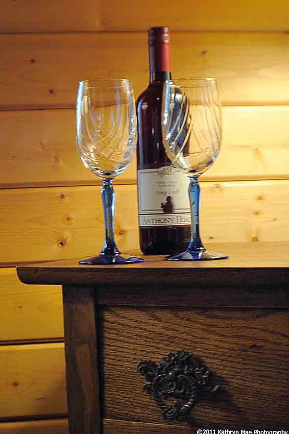Los Gatos Bed & Breakfast Penn Yan Ngoại thất bức ảnh